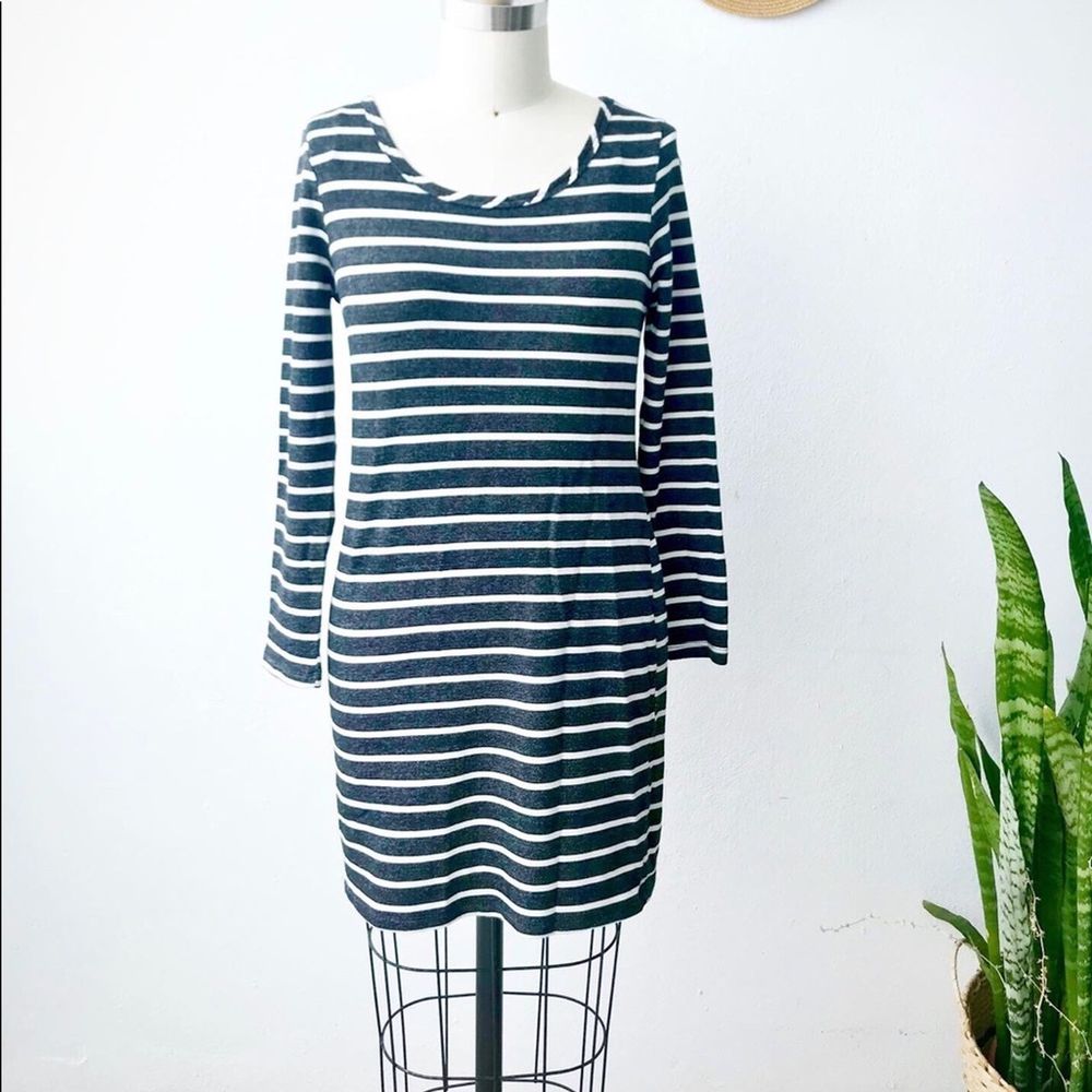 Bar III Long Sleeve Knee-length Dress, Small